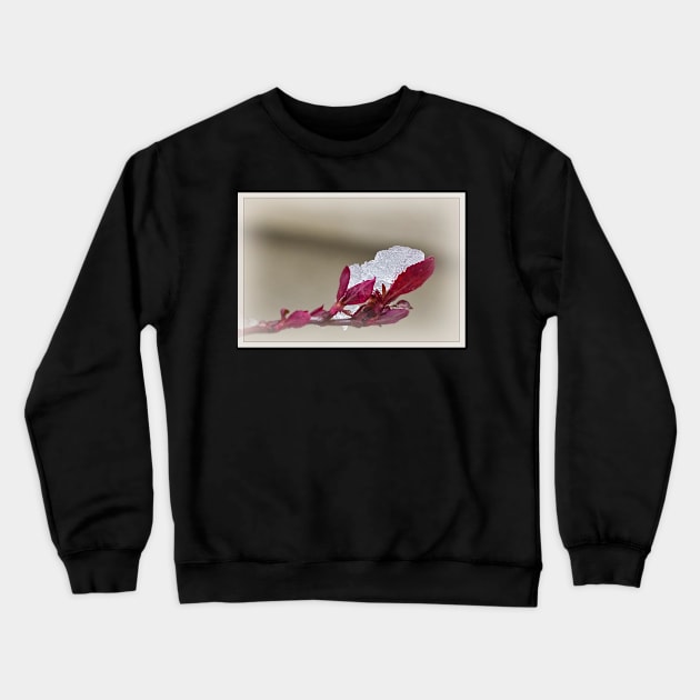 Dimond Crewneck Sweatshirt by valentina9